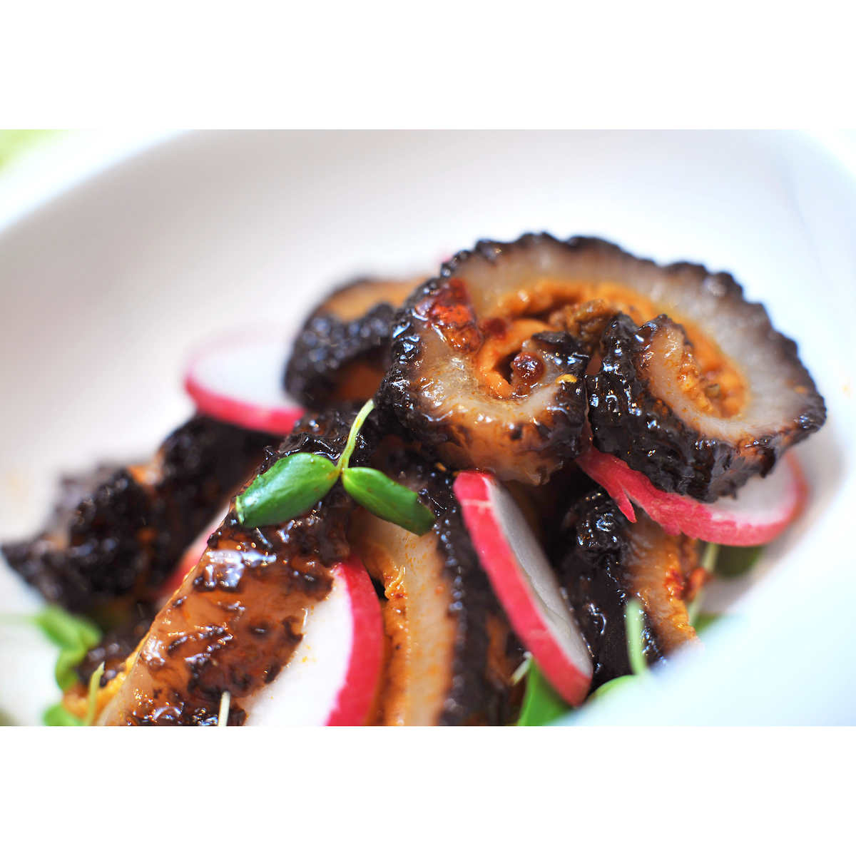 Rosalyn Dried Atlantic Sea Cucumber – Whole cut, 454 g